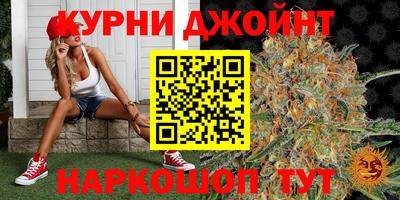 МДПВ Новодвинск